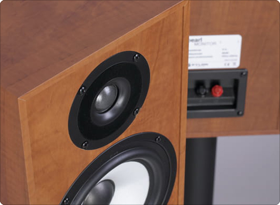 Pylon Audio Pearl Monitor - cecha 2